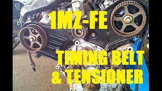 Timing Belt and Tensioner Toyota V6 3.0 liter 1MZ-FE/3.3 liter 3MZ-FE Camry Highlander Sienna RX300