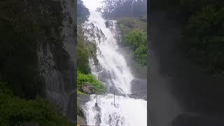 Periya Canal waterfall #munnar#nature #mansoon @TheDaily.Wanderer