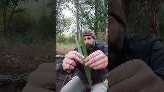 Master Primitive Archery & Survival Skills #burningriverbushcraft