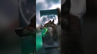 #wolf #howling #relaxing #shorts