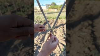 This One Rope Trick Replaces Nails & Screws!
