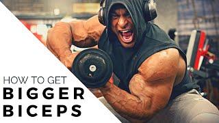 3 Exercises to Get Bigger Biceps | तीन एक्सरसाइज बड़े बाइसेप्स बनाने के लिए | Yatinder Singh