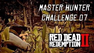 Red Dead Redemption 2 - Master Hunter Challenge #7 | Use Bait To Kill A Predator & A Herbviore