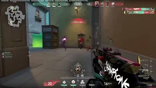 they pushed like crazy | Born Creator Clips