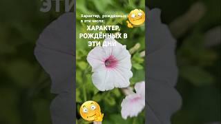 Стабильность - это скука / Характер , рождённых в эти дни  / Эзотерика Нумерология Знаки Зодиака