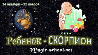 Ребенок Скорпион, характер и воспитание