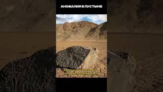 Живые камни в пустыни! #факты #топ #история #shorts #short