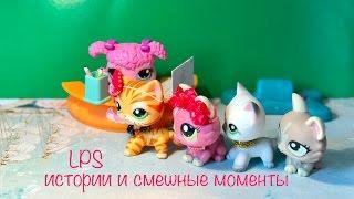 LPS/ Анекдоты , истории, смешные моменты.