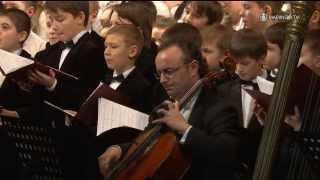 17 - Gavrilin. Mama. Petrenko (2014)