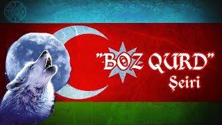   «BOZ QURD» Şeiri ● AZƏRBAYCAN TÜRKLƏRİ. (Yazılı) 1080p ᴴᴰ QUZEY AZƏRBAYCAN! TÜRKELAY 𐱅𐰈𐰼𐰚 