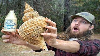 A Day of Exploration Turns Into INSANE Fossil Seashell Hunting & Mudlarking Adventure on the River!