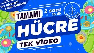 Hücre Tekrar | TAMAMI TEK VİDEO | TYT Biyoloji Konu Anlatımı