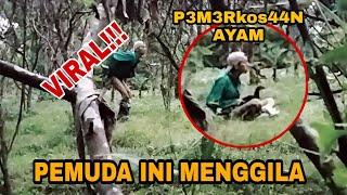 Pria gila rudalnya dimasukin ke ayam