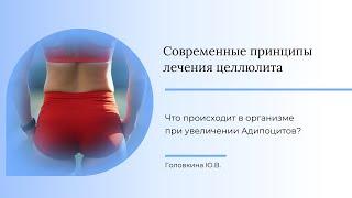 Что происходит в организме при увеличении Адипоцитов?