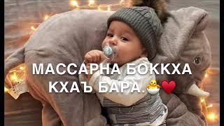 Дала декъал войл