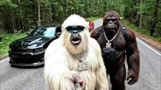 The best of Yeti │VLOG #2