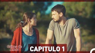 Gritos de Amor Capitulo 1 (Versión Extendida)