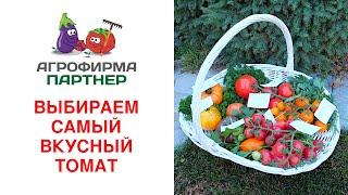 ВЫБИРАЕМ САМЫЙ ВКУСНЫЙ ТОМАТ