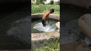 Tubewell swimming vlog +923420842073