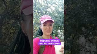 Нарцисс злится, что вы счастливы #нарцисс