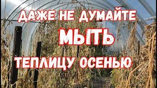 СДЕЛАЙ ЭТО ОСЕНЬЮ в ТЕПЛИЦЕ, если хотите БОГАТЫЙ УРОЖАЙ в 2025 году