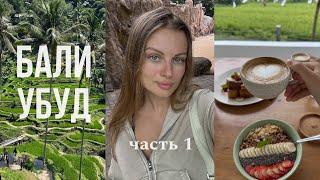 BALI VLOG: что посмотреть в убуде, рисовые террасы, святые источники себату, баня бали дача