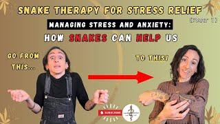 The Unique Power Of Snake Therapy For Combating Stress And Anxiety
