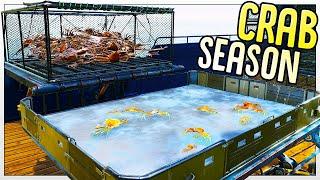 Catching Massive Snow Crab On The North Atlantic - Fishing North Atlantic