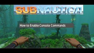 How to Enable Console Commands in Subnautica (OUTDATED)