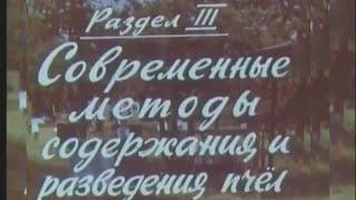 Современные методы содержания и разведения пчёл (Центрнаучфильм 1969 г.)