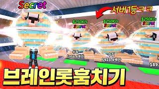 이탈리안 브레인로트 훔치는 게임!? 시크릿 브레인롯 싹쓸이하고 서버 1등하기!!! ㅋㅋㅋㅋ(로블록스 브레인로트 훔치기)