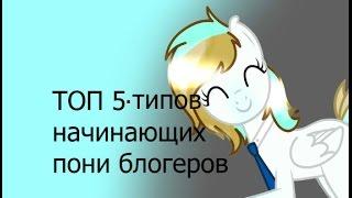 ТОП 5 типов начинающих пони блогеров