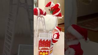 Cute Santa Clause Climbing the Ladder! Santa toys  #shortsvideo #christmas #present #santa