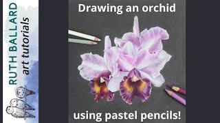 Tips and techniques for drawing orchids using pastel pencils and pastelmat