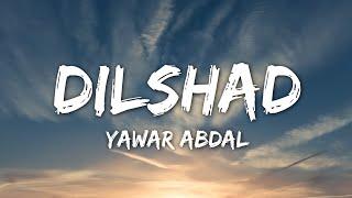 Dilshad Song Lyrics | Yawar Abdal | Hindi Song | Dilshad #trendingsong