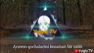 ARAVON  QOCHALARINI  KEZAMAN  BIROZIM BU QOSHIQ INTERNETNI PORTLATI, ZOR QOSHIQ правое 