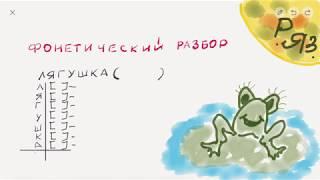 Фонетический разбор | Как делать фонетический разбор