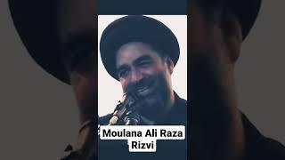 Moulana Ali Raza Rizvi #bayan  #313 #shorts
