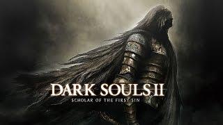 DARK SOULS™ II: Scholar of the First Sin Ковенант Пилигримы тьмы, Прячущийся во тьме