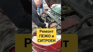 СПЕЦСЕРВИС ПЕЖО И СИТРОЕН МОСКВА! #shorts #пежо #ситроен #автосервис #сто