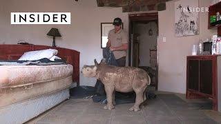 This baby rhino is loving life