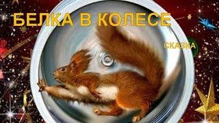 Белка в колесе | Сказка И. Семиной(Эльфика)