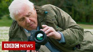 David Attenborough: ‘Act now on climate change or it will be too late’ - BBC News