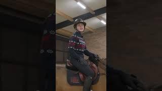 Every horse has a different stride  #horse #equestrian #horseriding #horsetraining #showjumping
