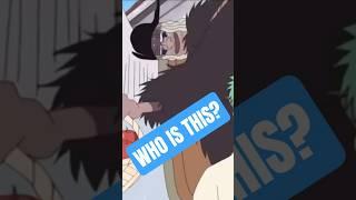 Who Is That Mysterious Man? #shorts #onepiece #anime