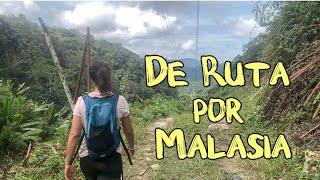 DiarioMal 10 - Malasia, de Jungla en Jungla