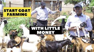 How To Start a Successful Goat Farm With Little Money