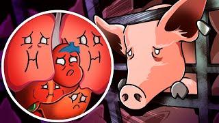 If you eat MEAT, you should know this!