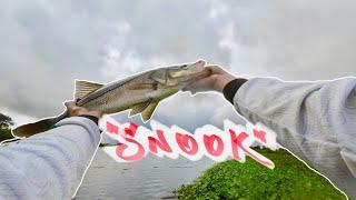 Snook Fishing in Caiman Invested Pond | DO NOT TRY THIS AT HOME | lots of cursing !$&@%