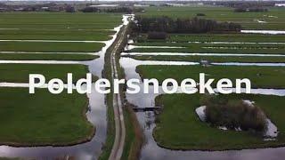 Poldersnoeken met Bro Fishing (Heel taaie dag) #2